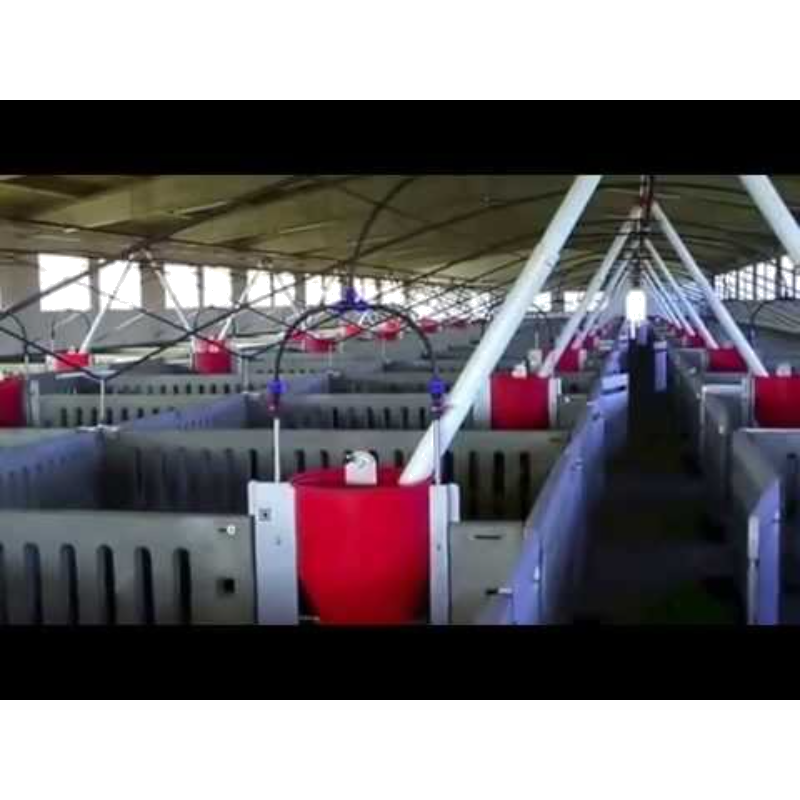 Manta Termica Cover Pig